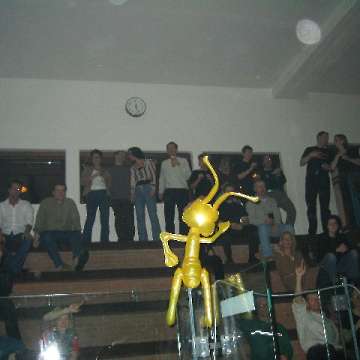 Bild 0077